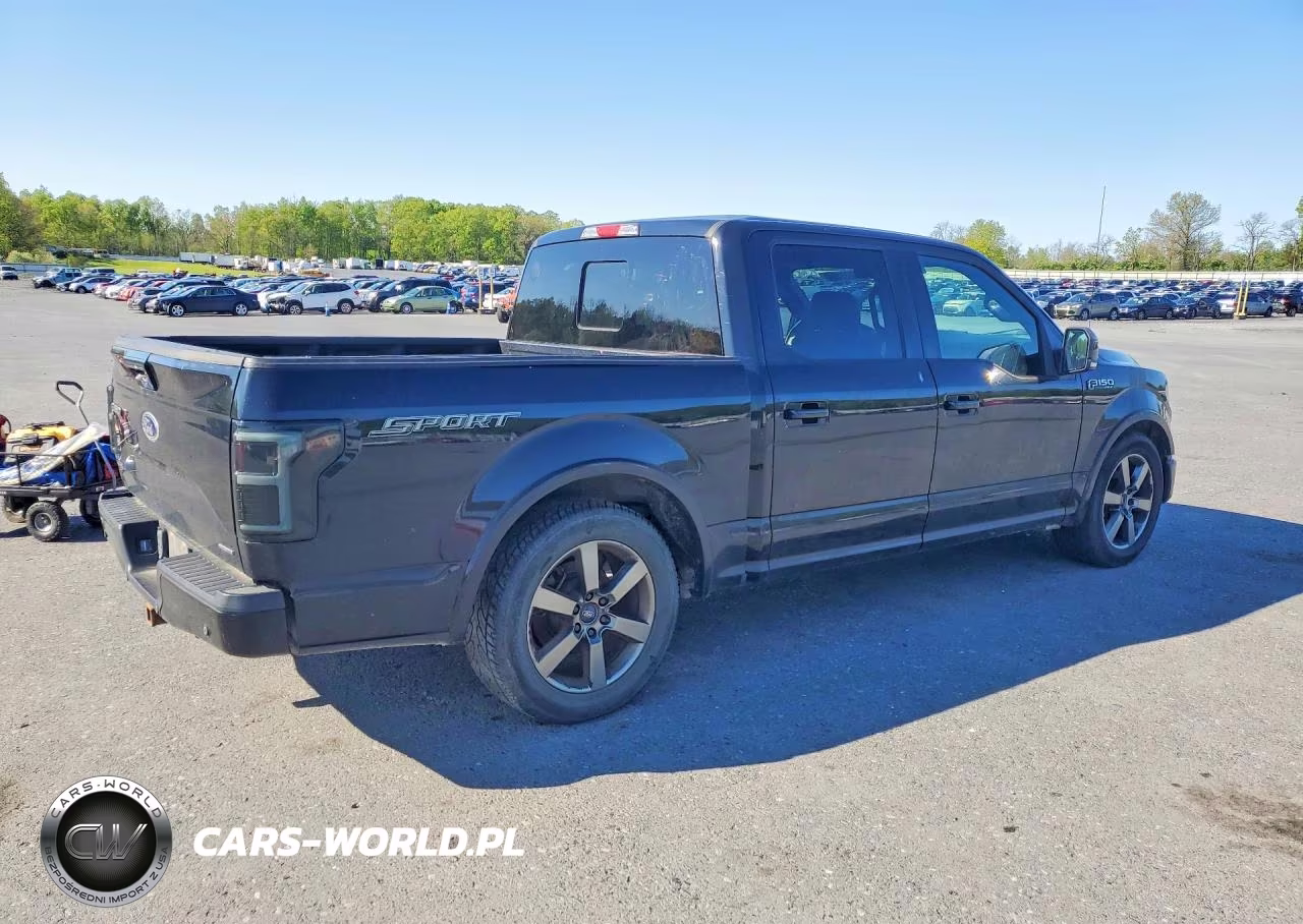 2016 Ford F150 Supercrew VIN:1FTEW1CF8GKD87423 - 3