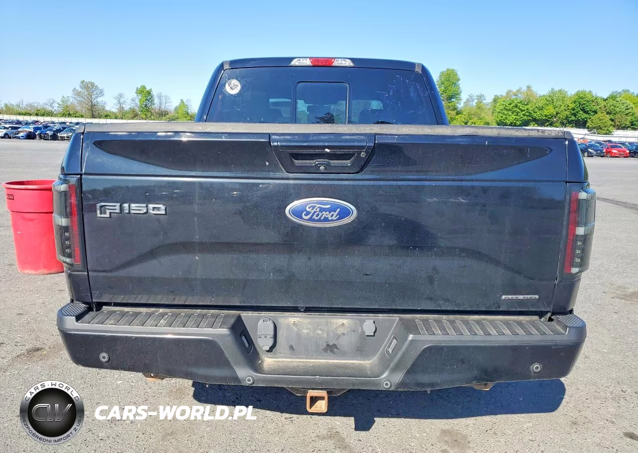 2016 Ford F150 Supercrew VIN:1FTEW1CF8GKD87423 - 6