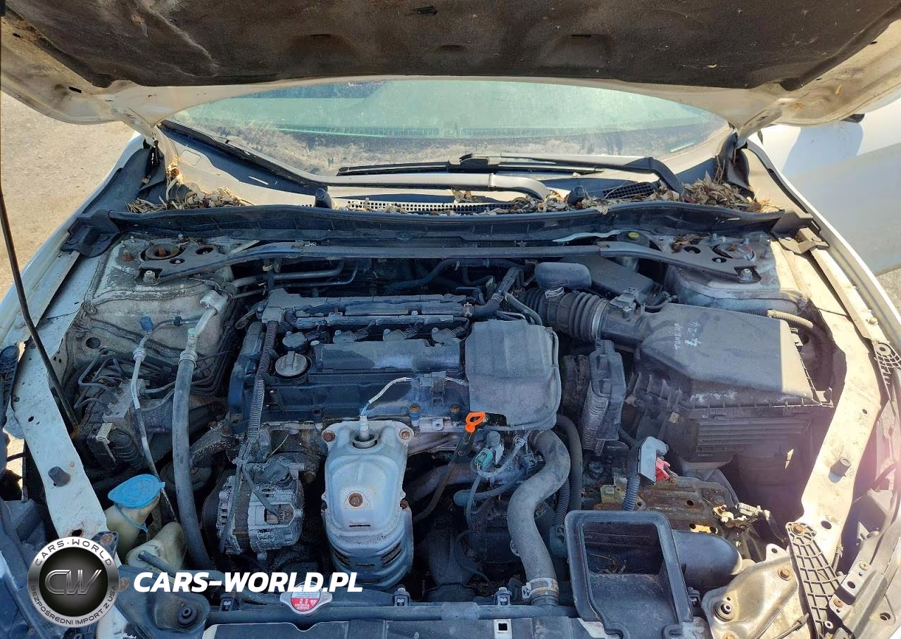 2016 Honda Accord Sport VIN:1HGCR2F54GA193549 - 11