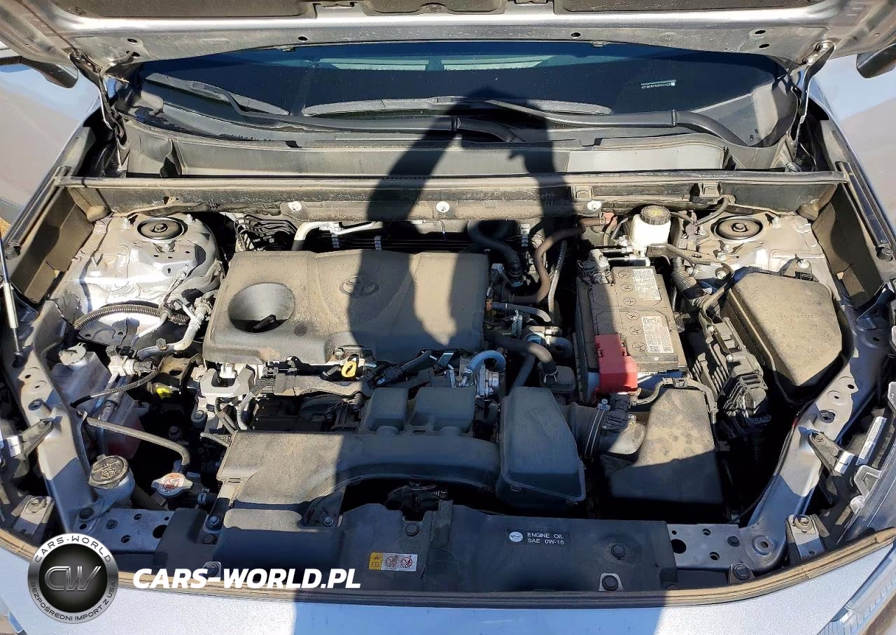 2023 Toyota Rav4 Xle VIN:2T3W1RFV2PC244576 - 11