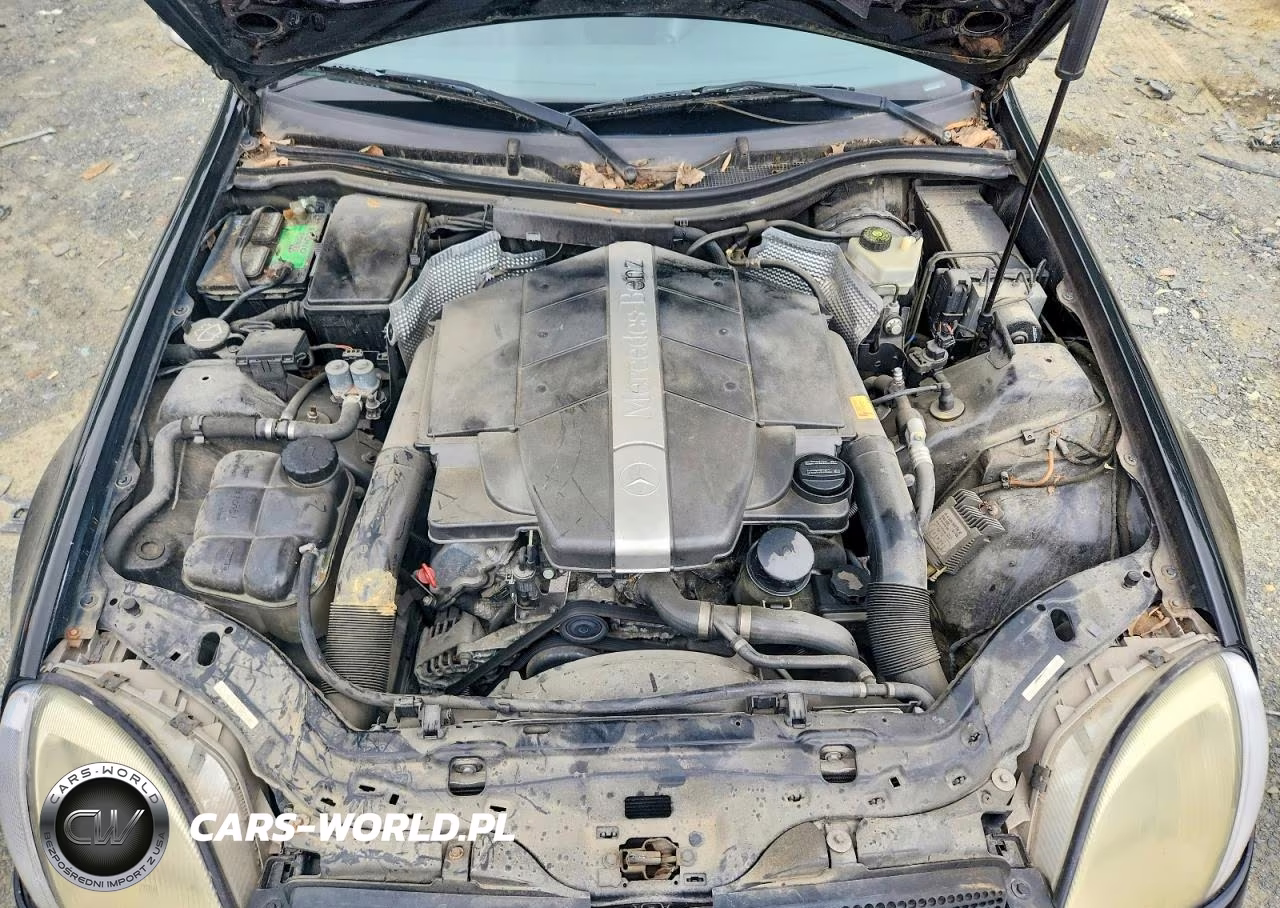 2002 Mercedes-Benz Slk 320 VIN:WDBKK65F32F242802 - 11