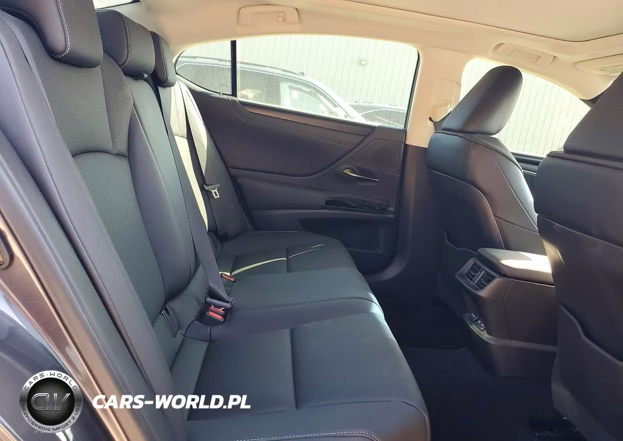 2022 Lexus Es 350 Base VIN:58ADZ1B14NU113439 - 10