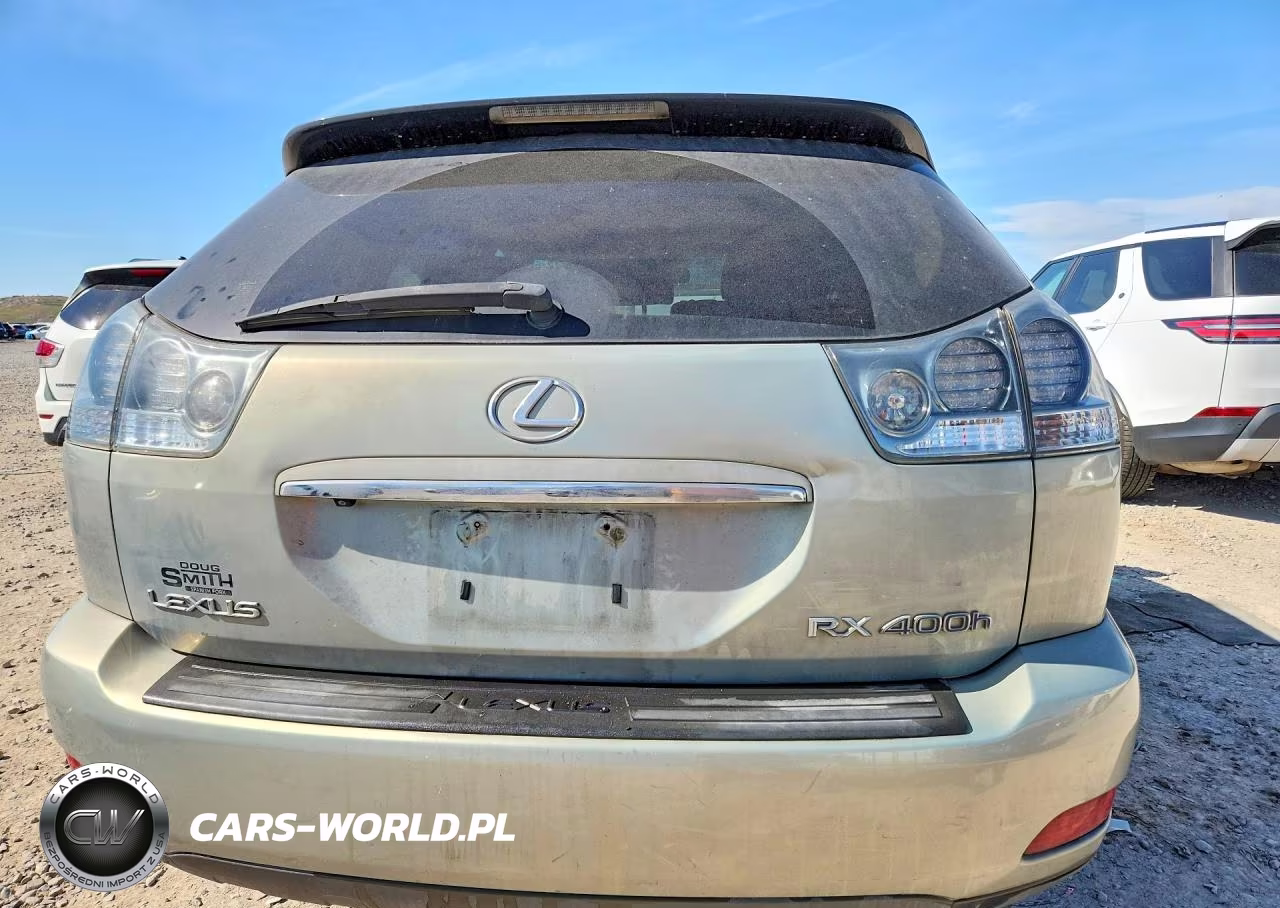 2007 Lexus Rx 400H Base VIN:JTJHW31U872008928 - 6