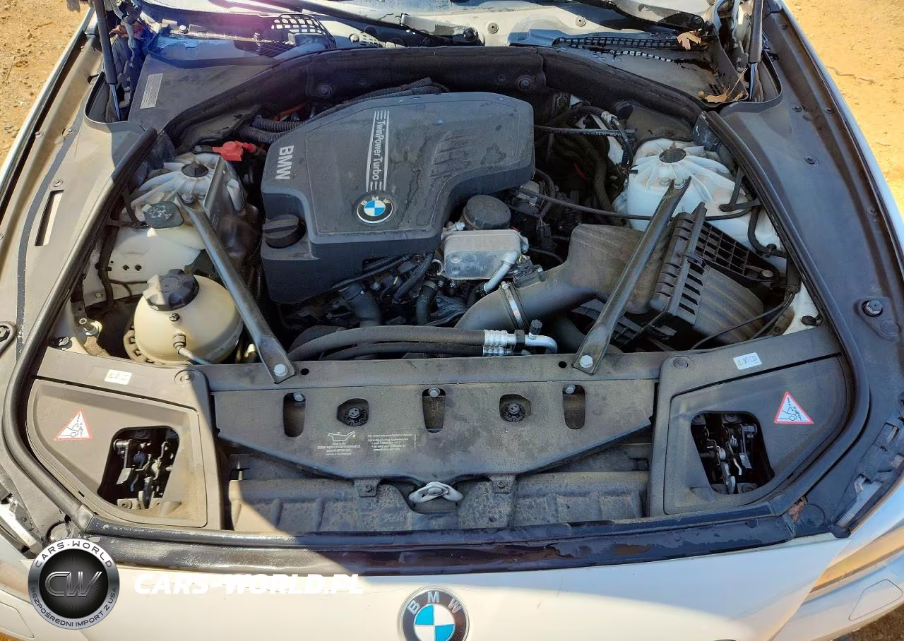 2013 BMW 528 I VIN:WBAXG5C52DD230908 - 11