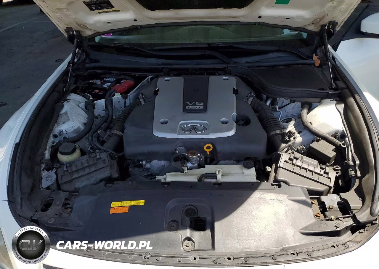 2008 Infiniti G37 Base VIN:JNKCV64EX8M131382 - 11