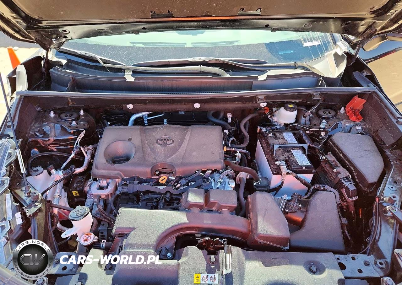 2024 Toyota Rav4 Xle VIN:2T3W1RFVXRW325696 - 12