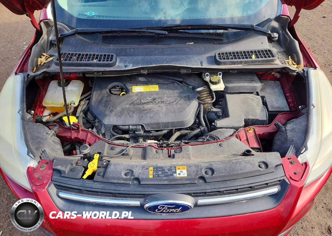 2013 Ford Escape Se VIN:1FMCU0GXXDUD54011 - 12