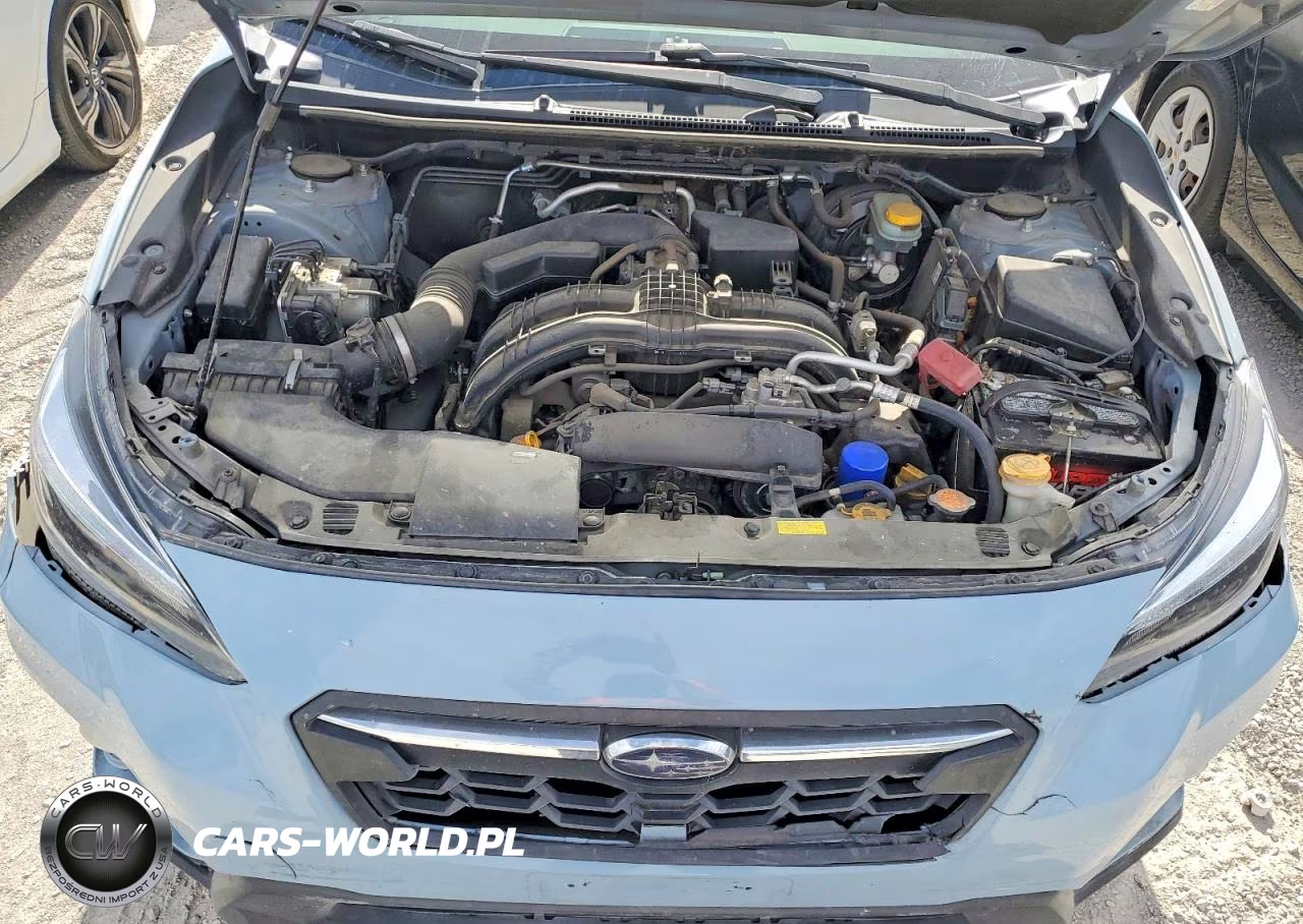 2019 Subaru Crosstrek Limited VIN:JF2GTAMCXK8278555 - 12