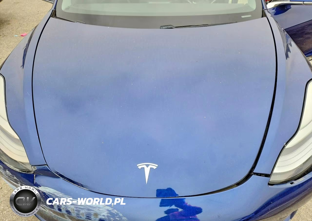 2019 Tesla 3 VIN:5YJ3E1EA9KF411844 - 11