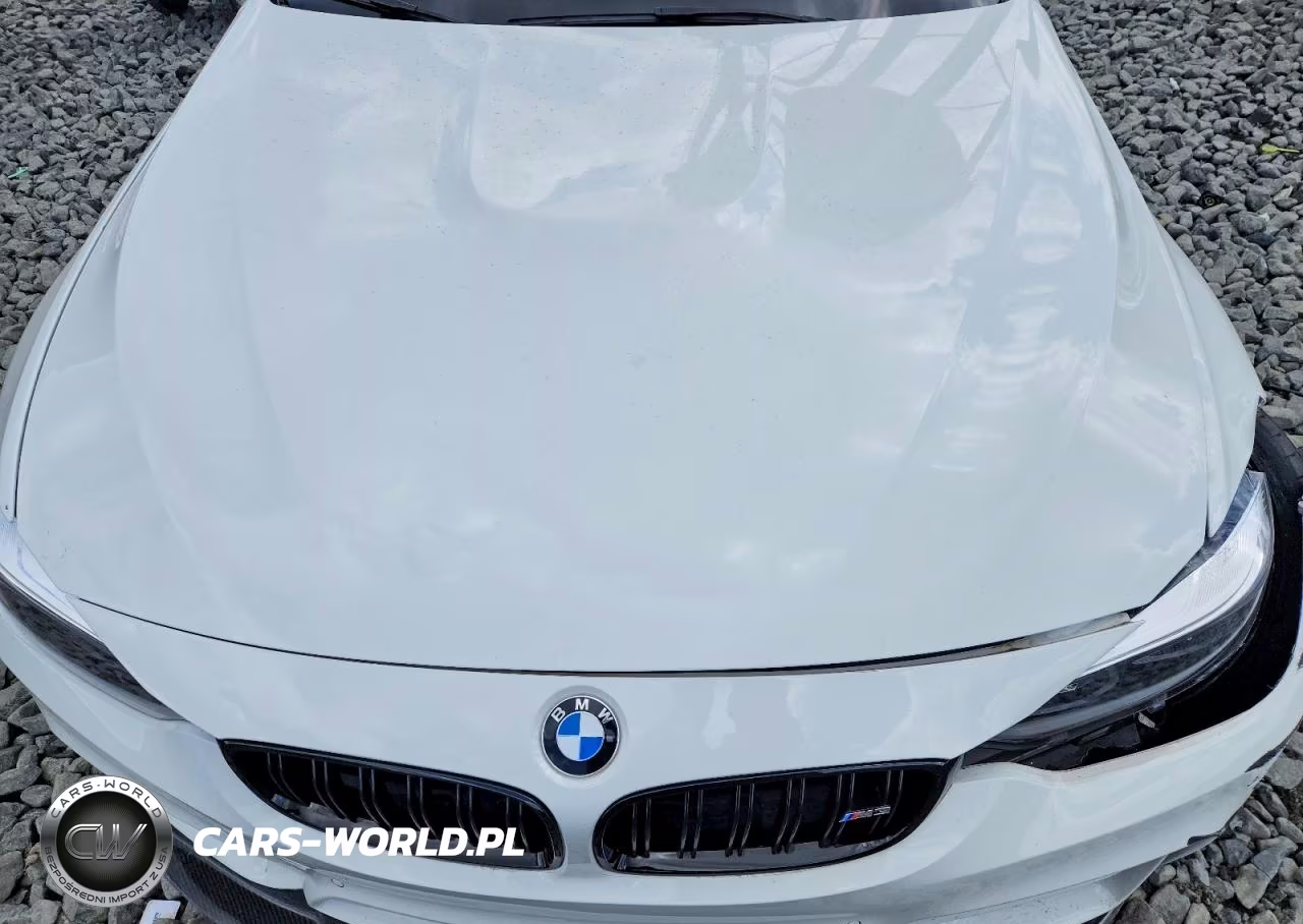2018 BMW M3 VIN:WBS8M9C5XJ5K99464 - 11