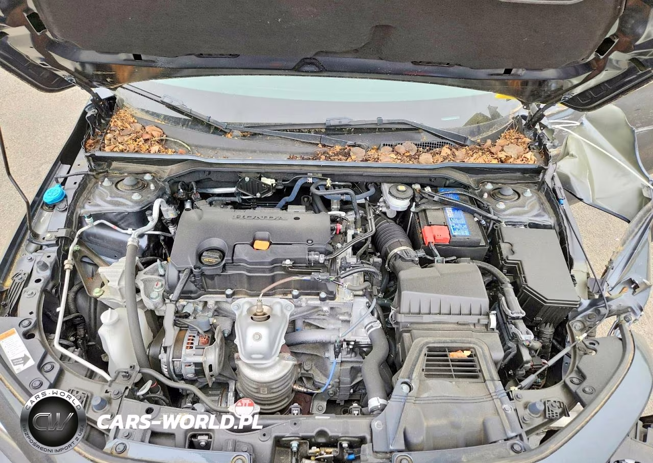 2024 Honda Civic Sport VIN:2HGFE2F54RH557398 - 11