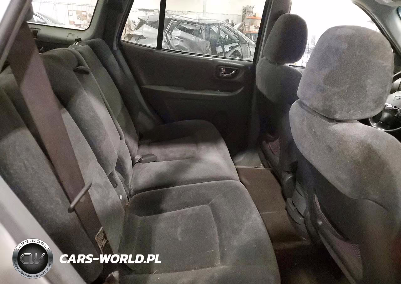 2004 Hyundai Santa Fe Gls VIN:KM8SC13D04U688693 - 11