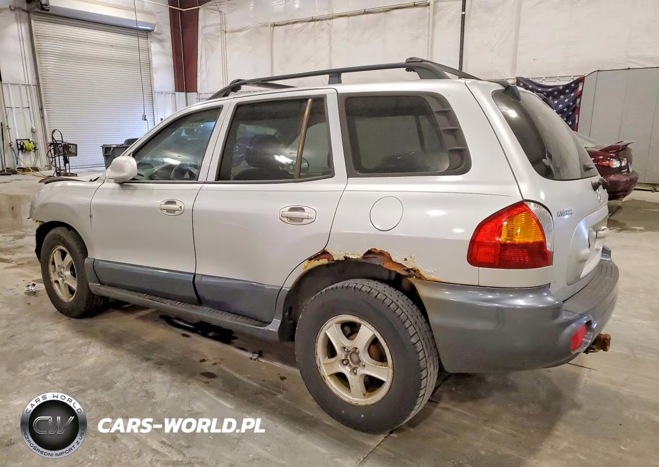 2004 Hyundai Santa Fe Gls VIN:KM8SC13D04U688693 - 2