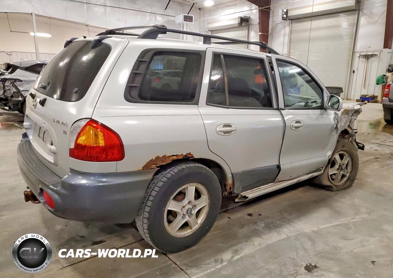 2004 Hyundai Santa Fe Gls VIN:KM8SC13D04U688693 - 3