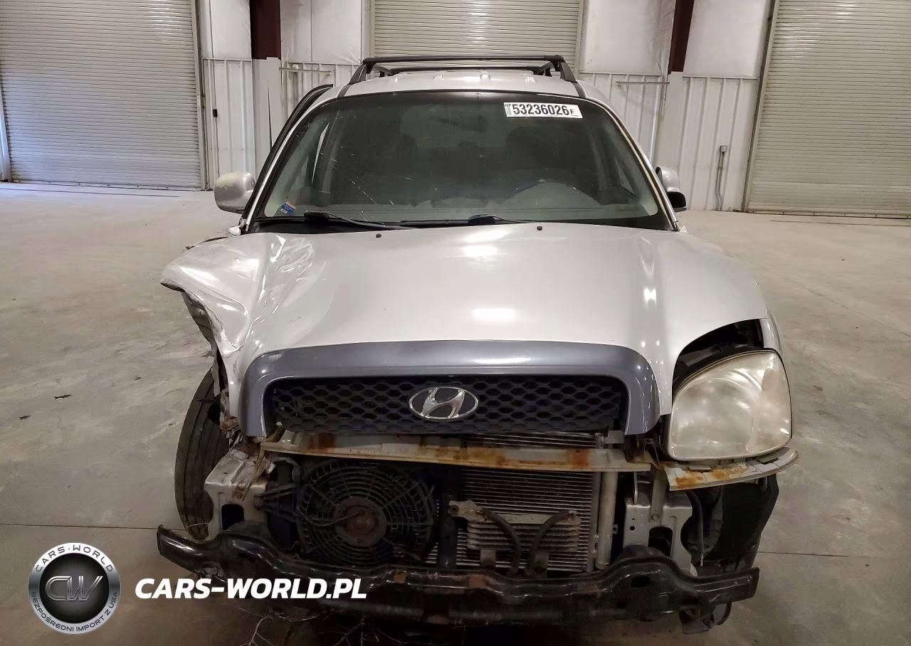 2004 Hyundai Santa Fe Gls VIN:KM8SC13D04U688693 - 5