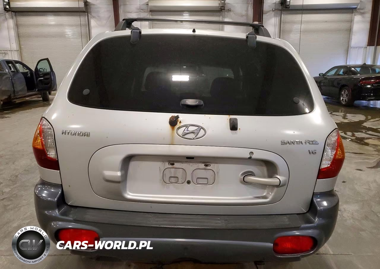 2004 Hyundai Santa Fe Gls VIN:KM8SC13D04U688693 - 6