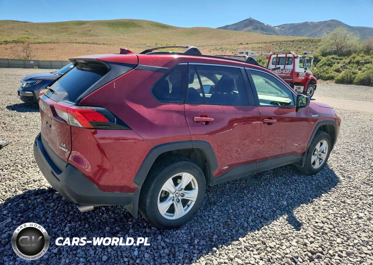 2019 Toyota Rav4 Le VIN:JTMLWRFV7KD041899 - 3
