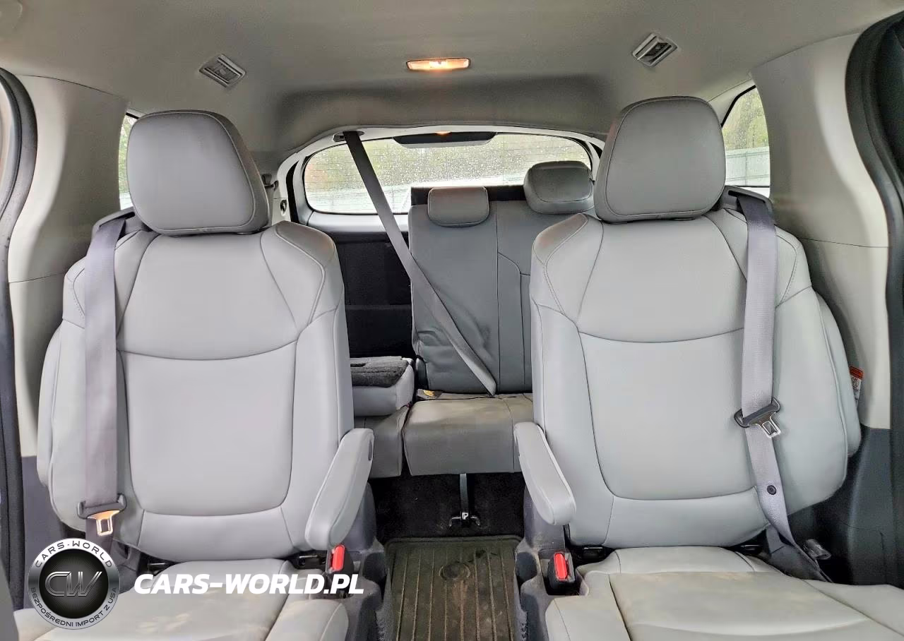 2023 Toyota Sienna Xle VIN:5TDJSKFC4PS099134 - 10
