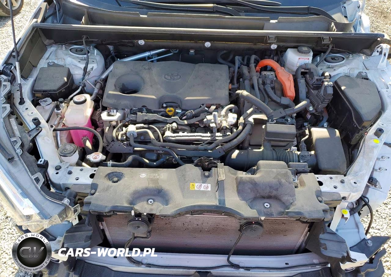 2023 Toyota Rav4 Xle Premium VIN:JTMB6RFV5PD096838 - 12