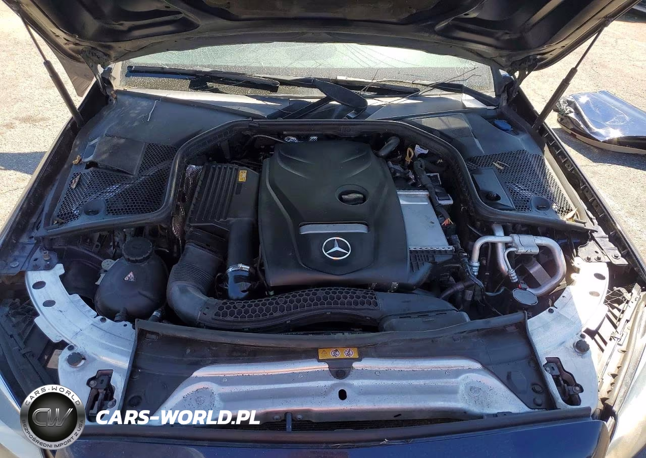 2018 Mercedes-Benz C 300 VIN:55SWF4JB6JU263868 - 11