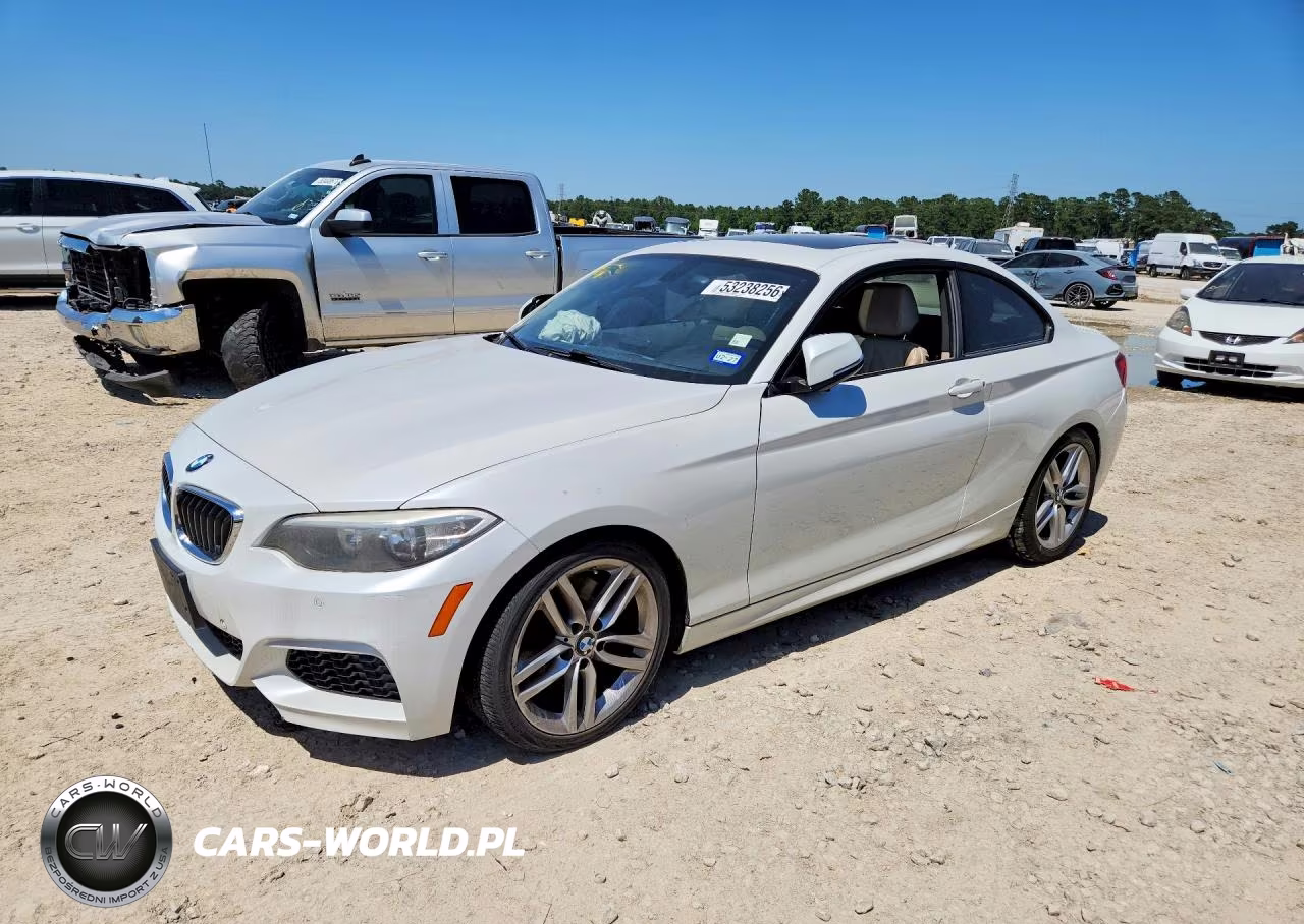 2014 BMW 228 I