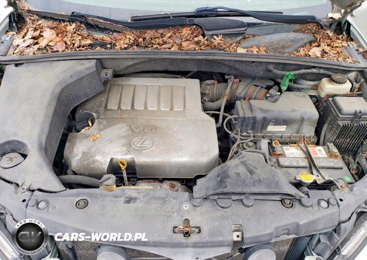 2008 Lexus Rx 330 VIN:2T2GK31U48C040591 - 11