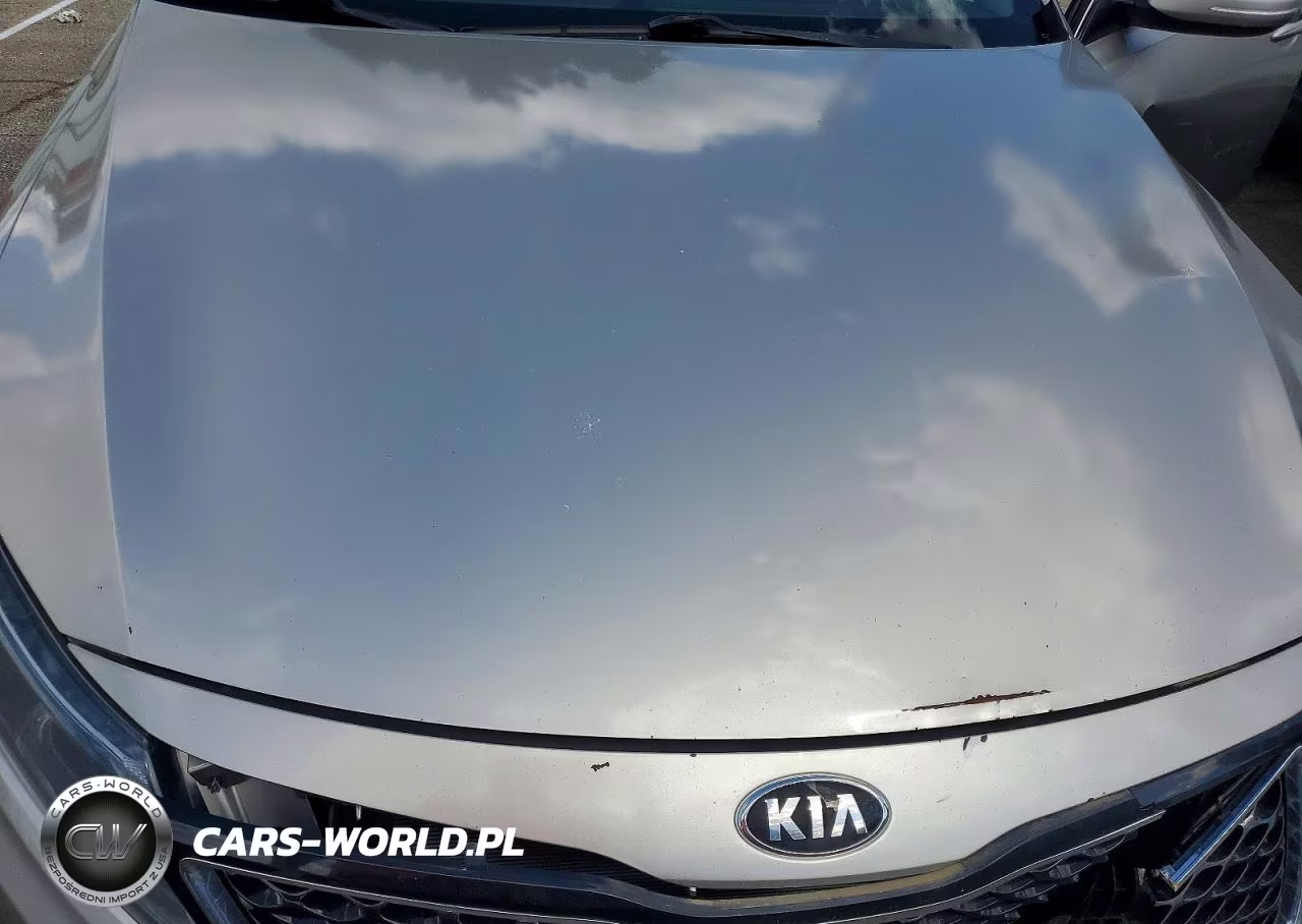 2015 Kia Optima Lx VIN:KNAGM4A7XF5546061 - 11