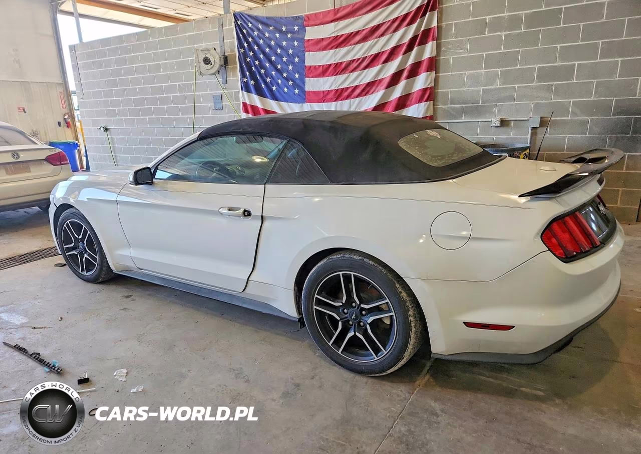 2016 Ford Mustang VIN:1FATP8UH0G5216893 - 2