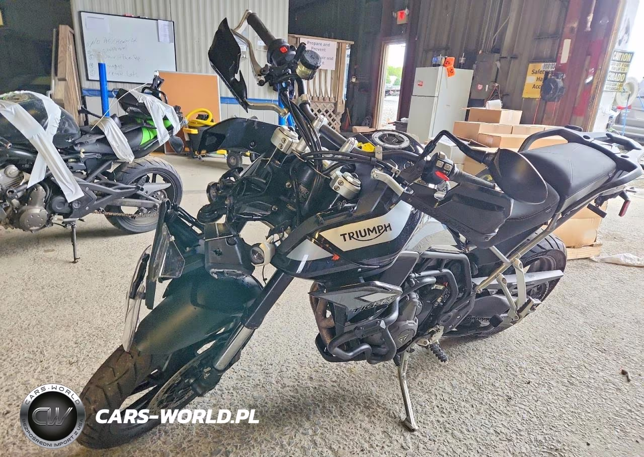2021 Triumph Motorcycle Tiger 900 Gt Pro VIN:SMTE64DFXMTAF4405 - 3