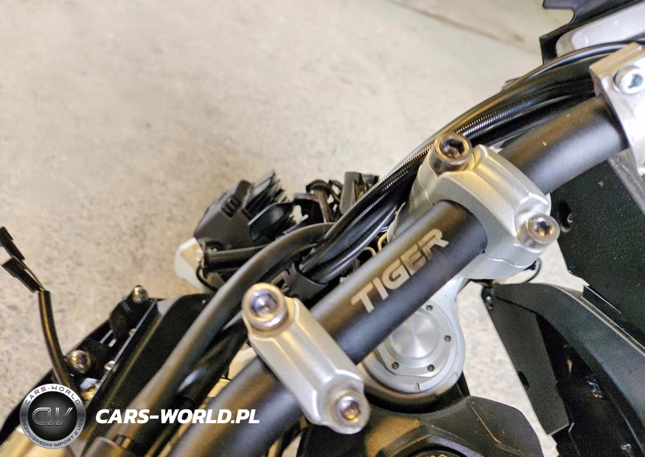 2021 Triumph Motorcycle Tiger 900 Gt Pro VIN:SMTE64DFXMTAF4405 - 7
