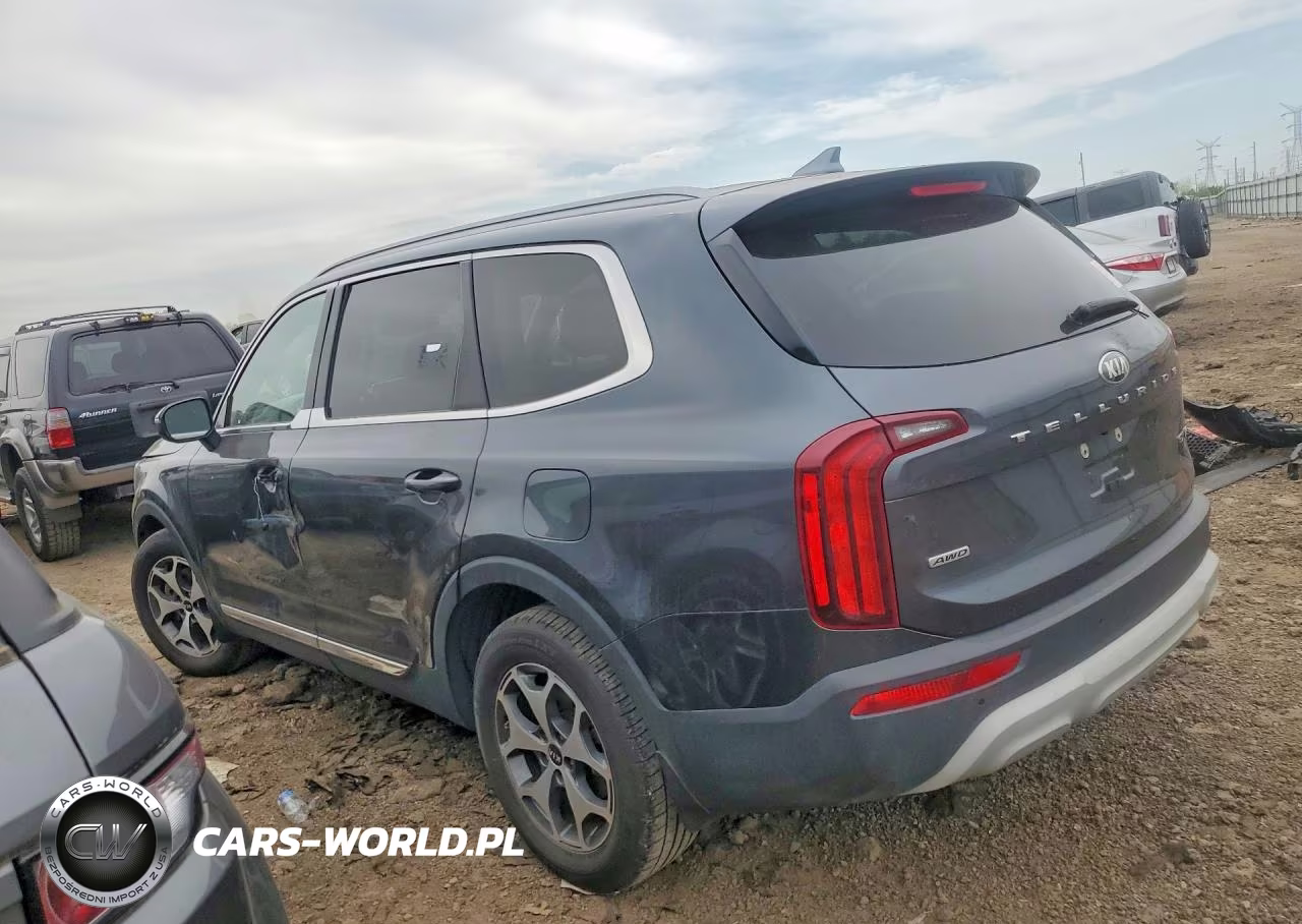 2020 Kia Telluride Ex VIN:5XYP3DHC3LG013755 - 2