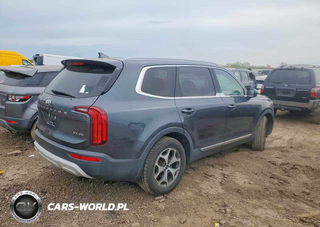 2020 Kia Telluride Ex VIN:5XYP3DHC3LG013755 - 3