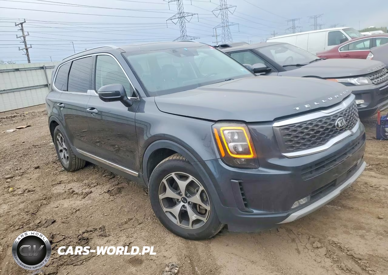 2020 Kia Telluride Ex VIN:5XYP3DHC3LG013755 - 4