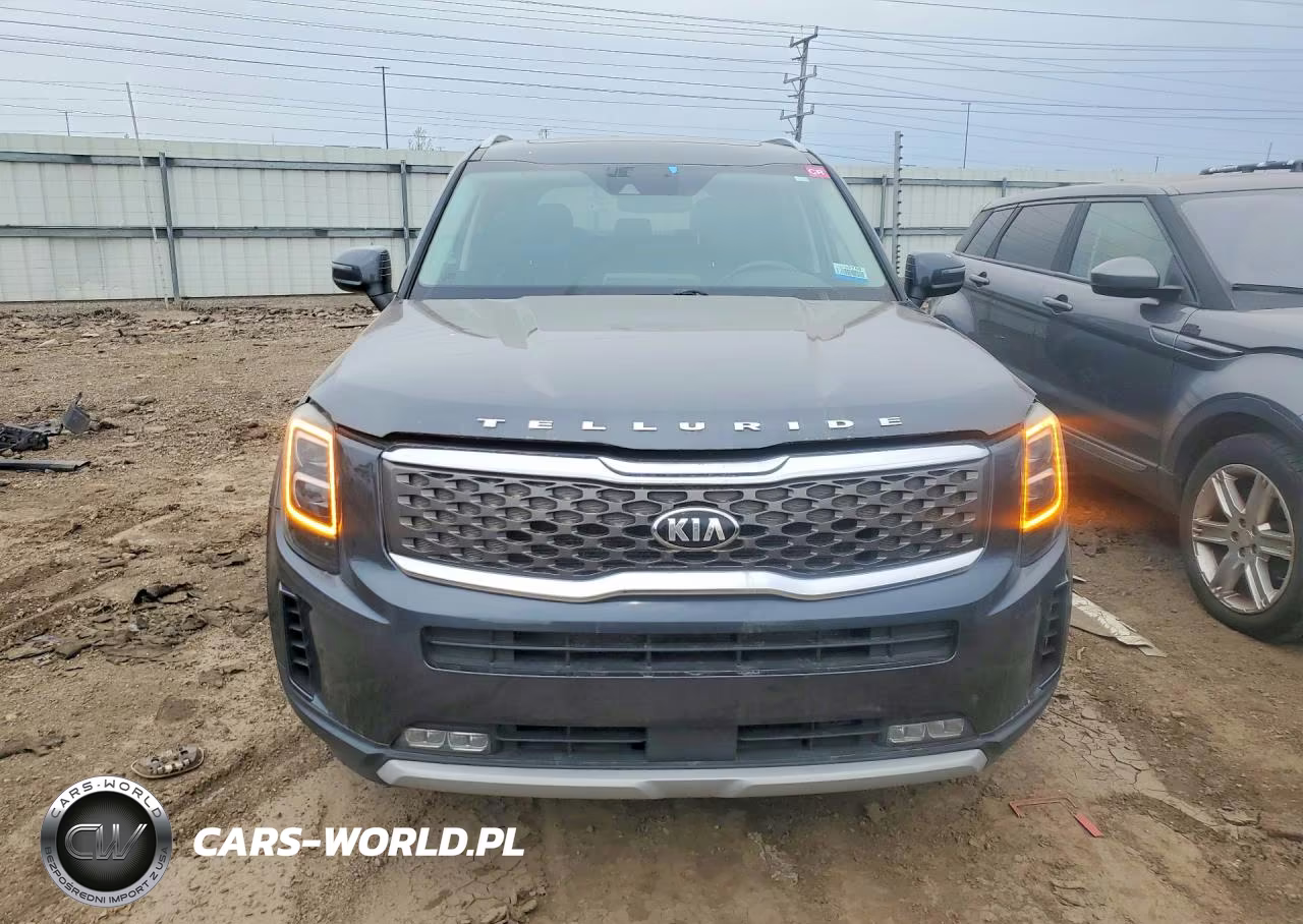 2020 Kia Telluride Ex VIN:5XYP3DHC3LG013755 - 5