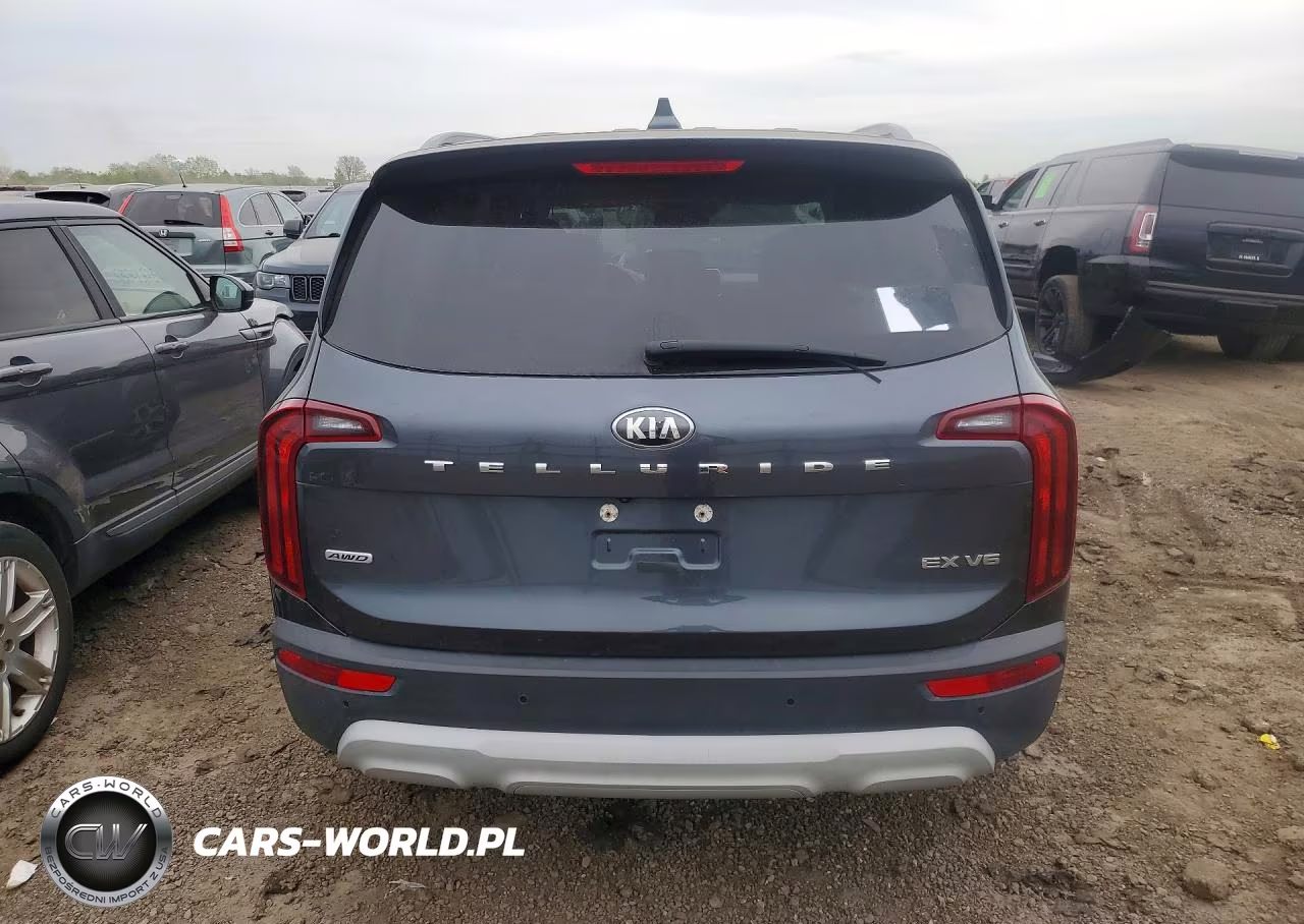 2020 Kia Telluride Ex VIN:5XYP3DHC3LG013755 - 6
