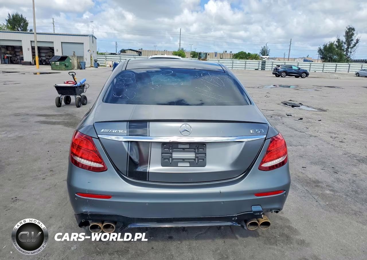 2019 Mercedes-Benz E Amg 53 4Matic VIN:WDDZF6BB8KA570273 - 6