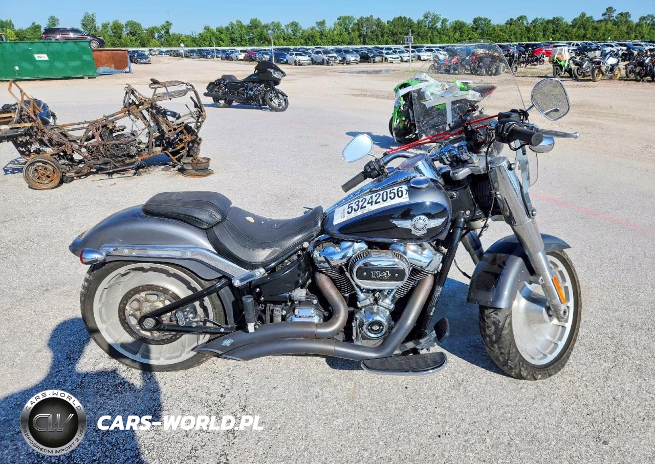 2021 Harley-Davidson Flfbs