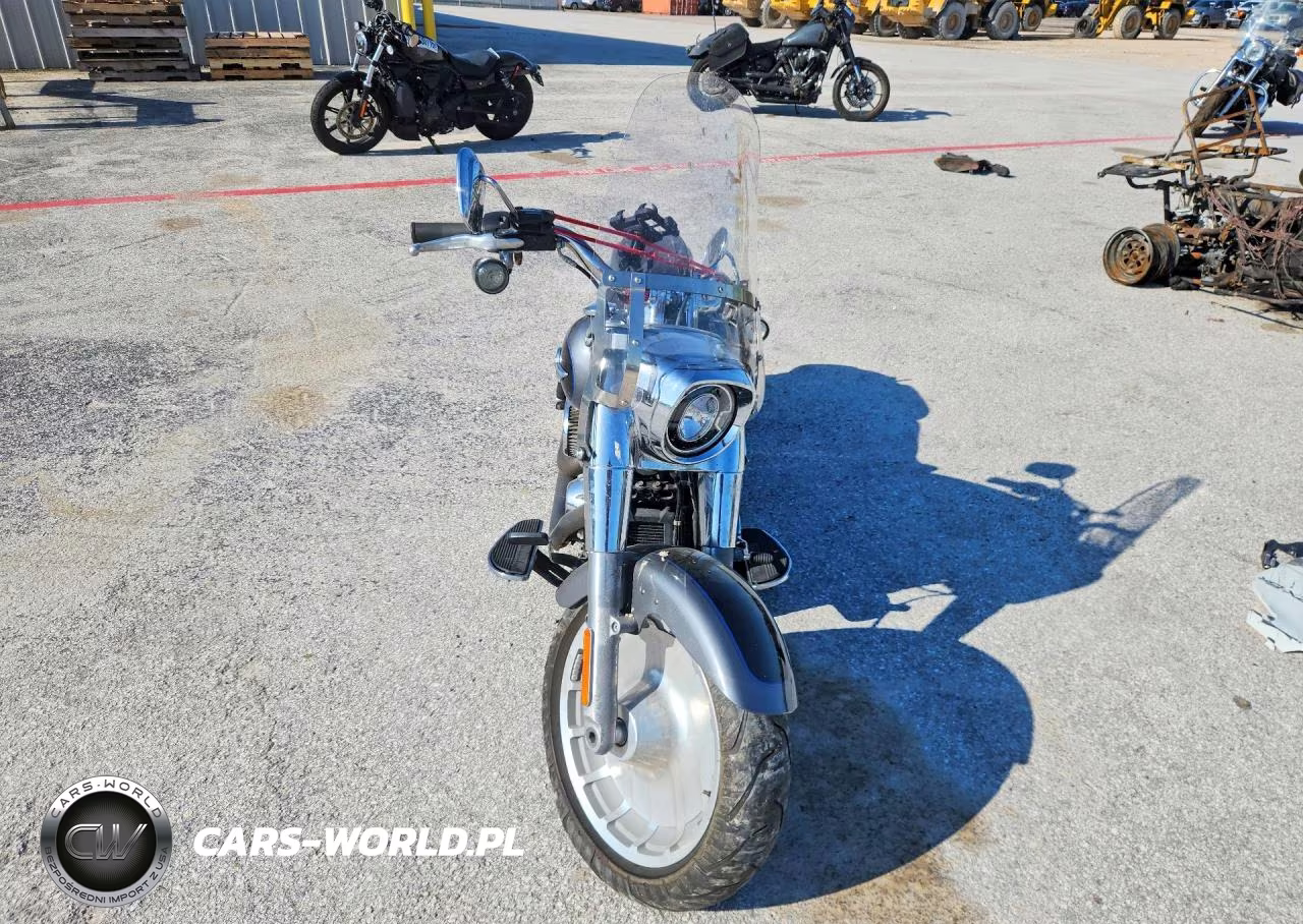 2021 Harley-Davidson Flfbs VIN:1HD1YGK19MB025970 - 2
