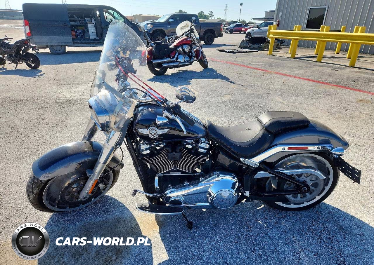 2021 Harley-Davidson Flfbs VIN:1HD1YGK19MB025970 - 3