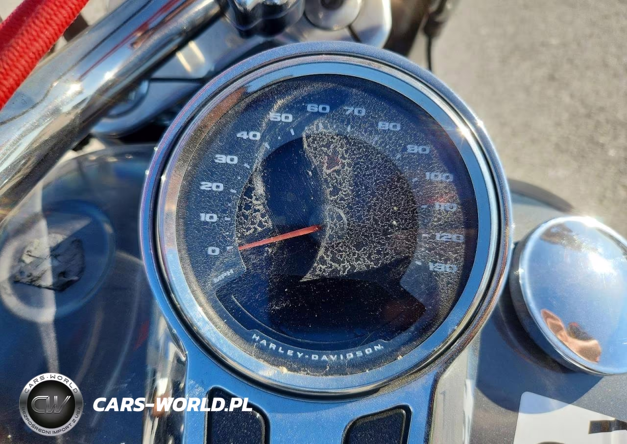 2021 Harley-Davidson Flfbs VIN:1HD1YGK19MB025970 - 7