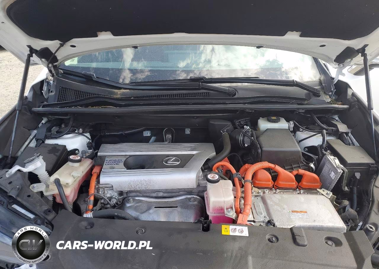 2018 Lexus Nx 300H VIN:JTJBJRBZ5J2086267 - 12