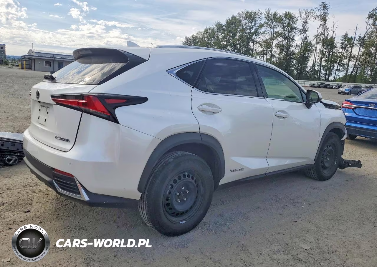 2018 Lexus Nx 300H VIN:JTJBJRBZ5J2086267 - 3
