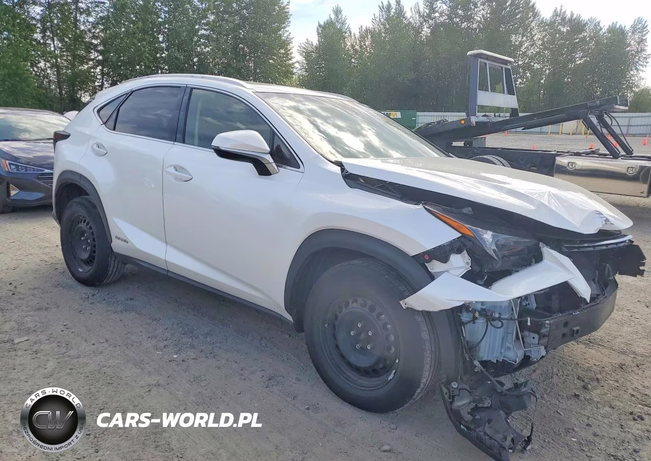 2018 Lexus Nx 300H VIN:JTJBJRBZ5J2086267 - 4