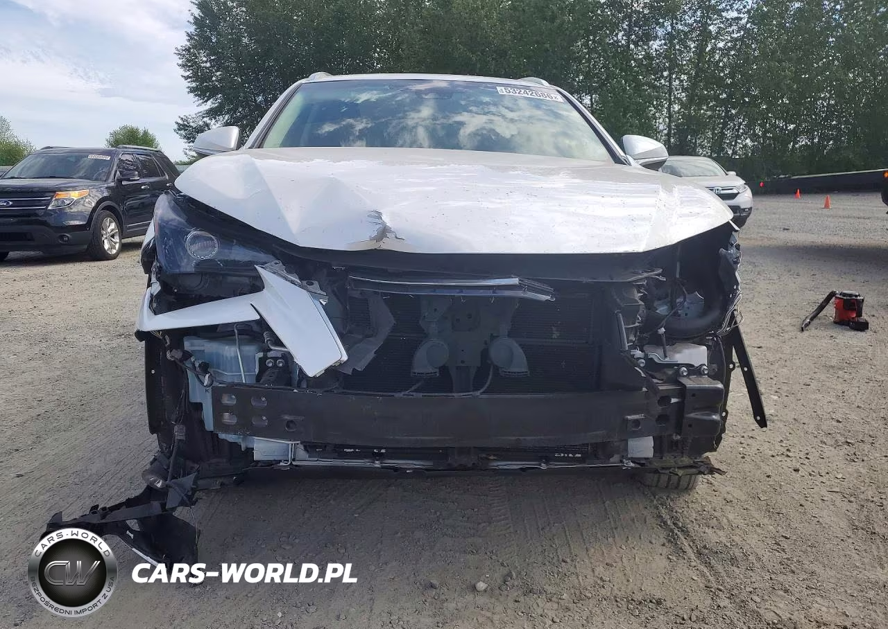 2018 Lexus Nx 300H VIN:JTJBJRBZ5J2086267 - 5