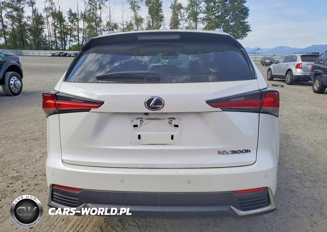 2018 Lexus Nx 300H VIN:JTJBJRBZ5J2086267 - 6
