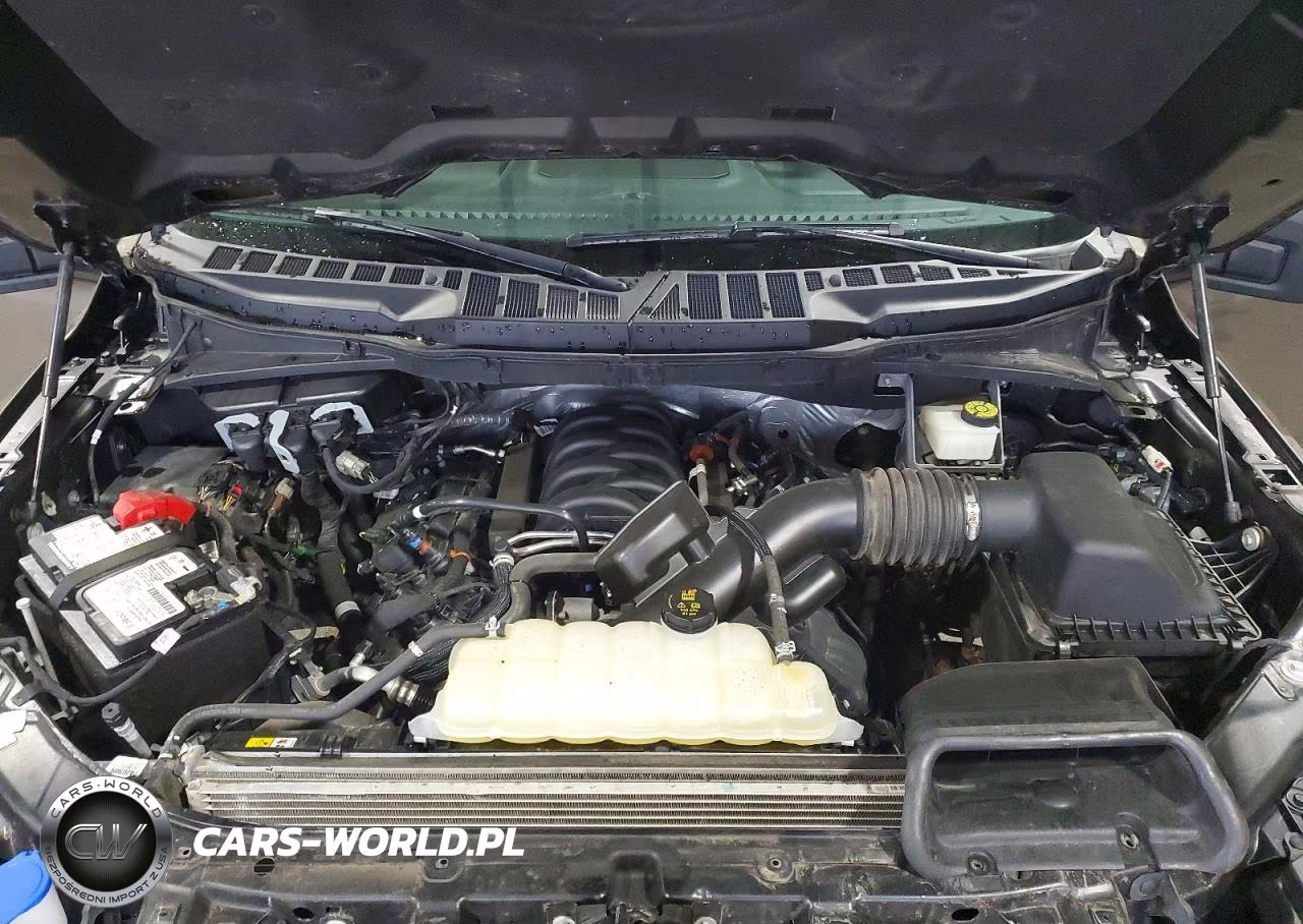 2022 Ford F150 Supercrew VIN:1FTFW1E50NFC05356 - 11