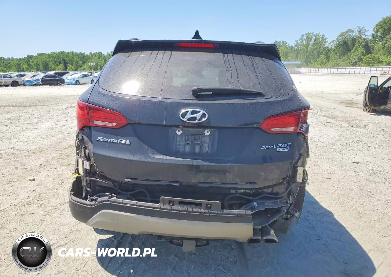 2017 Hyundai Santa Fe Sport 2.0T Ultimate VIN:5XYZW4LA6HG424516 - 6
