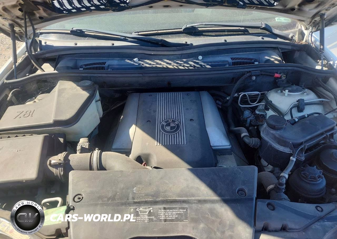 2002 BMW X5 4.4I VIN:5UXFB33572LH31394 - 11
