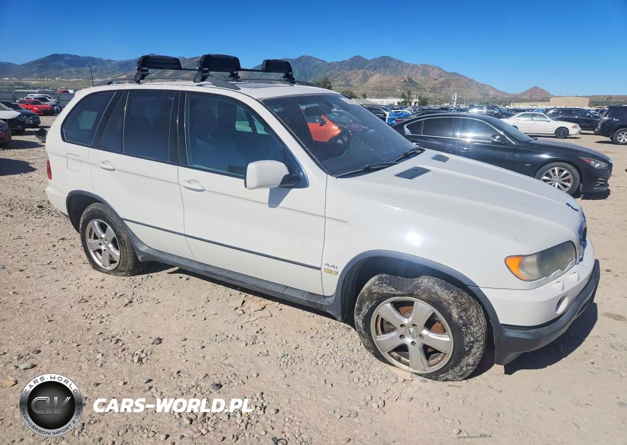 2002 BMW X5 4.4I VIN:5UXFB33572LH31394 - 4