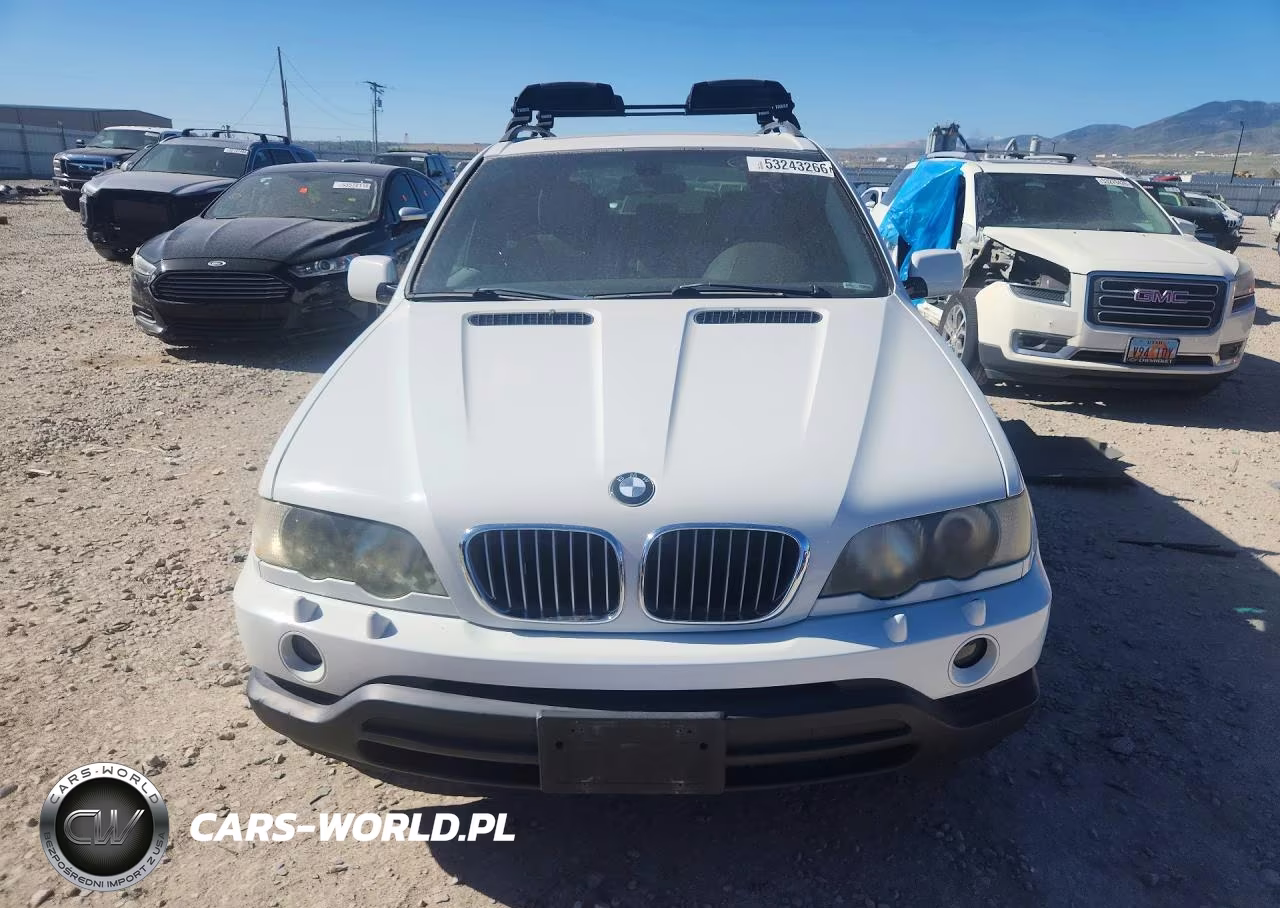 2002 BMW X5 4.4I VIN:5UXFB33572LH31394 - 5